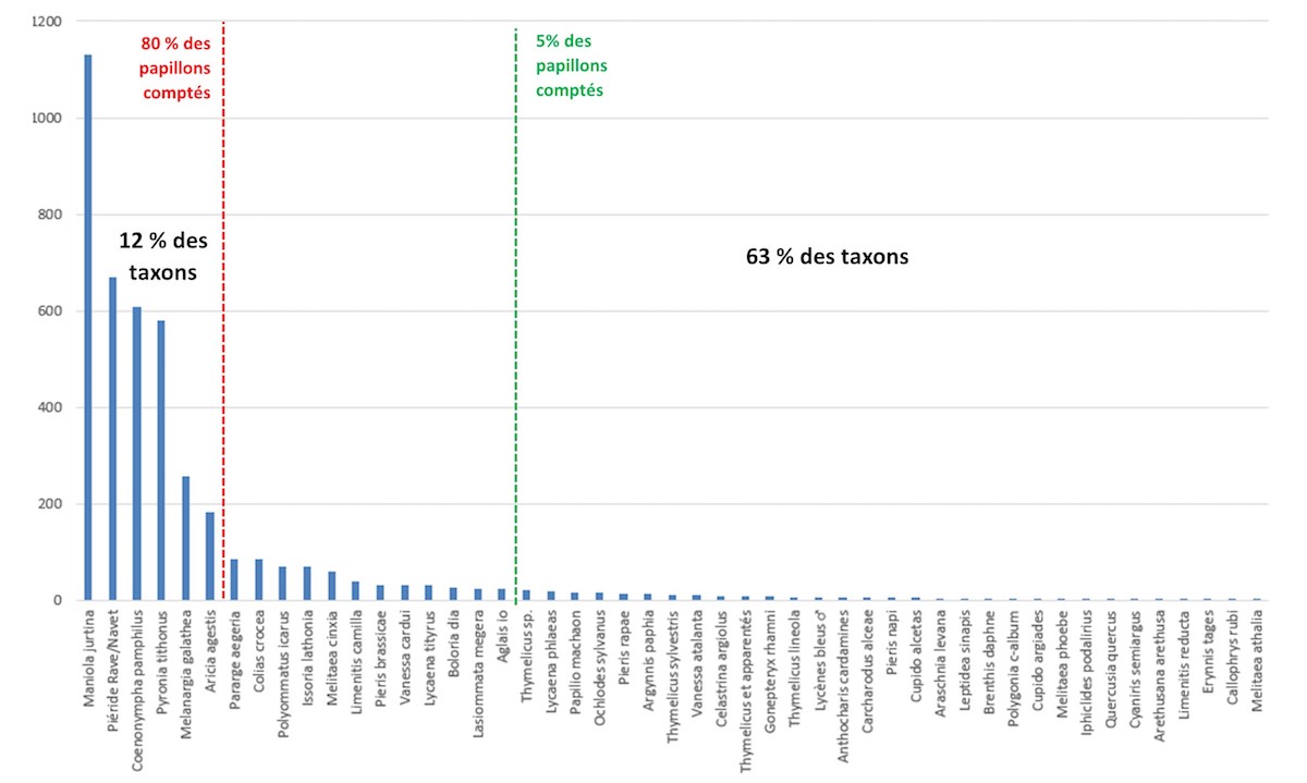 Points à relier 10 000, Abonnement découverte, Jeux de logique visuelle