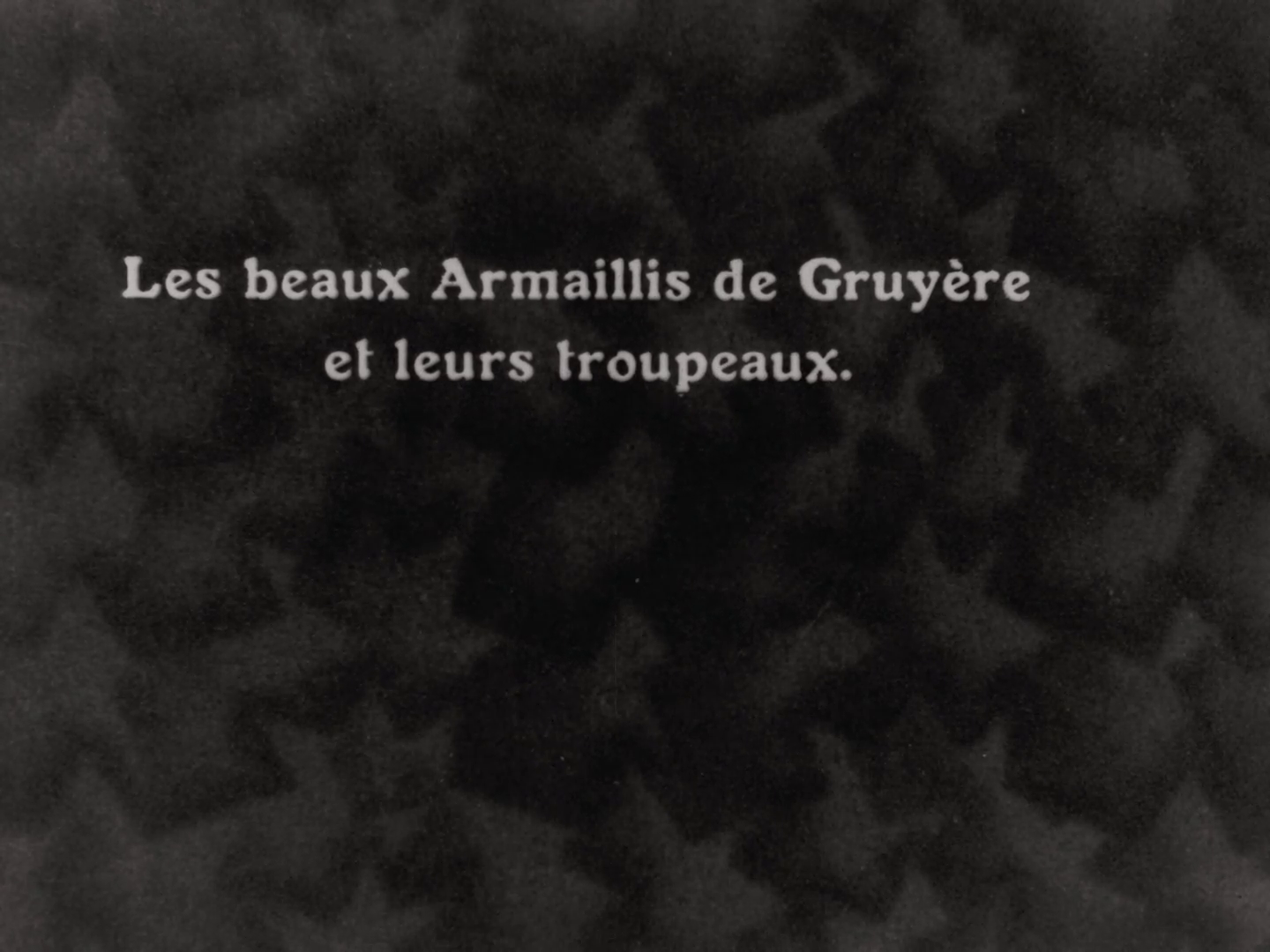 Impossible de lire la video