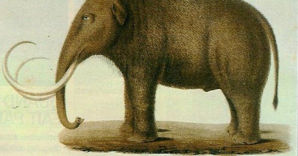 Le Dolgan Le Scientifique Le Mammouth Ethnographiques Org